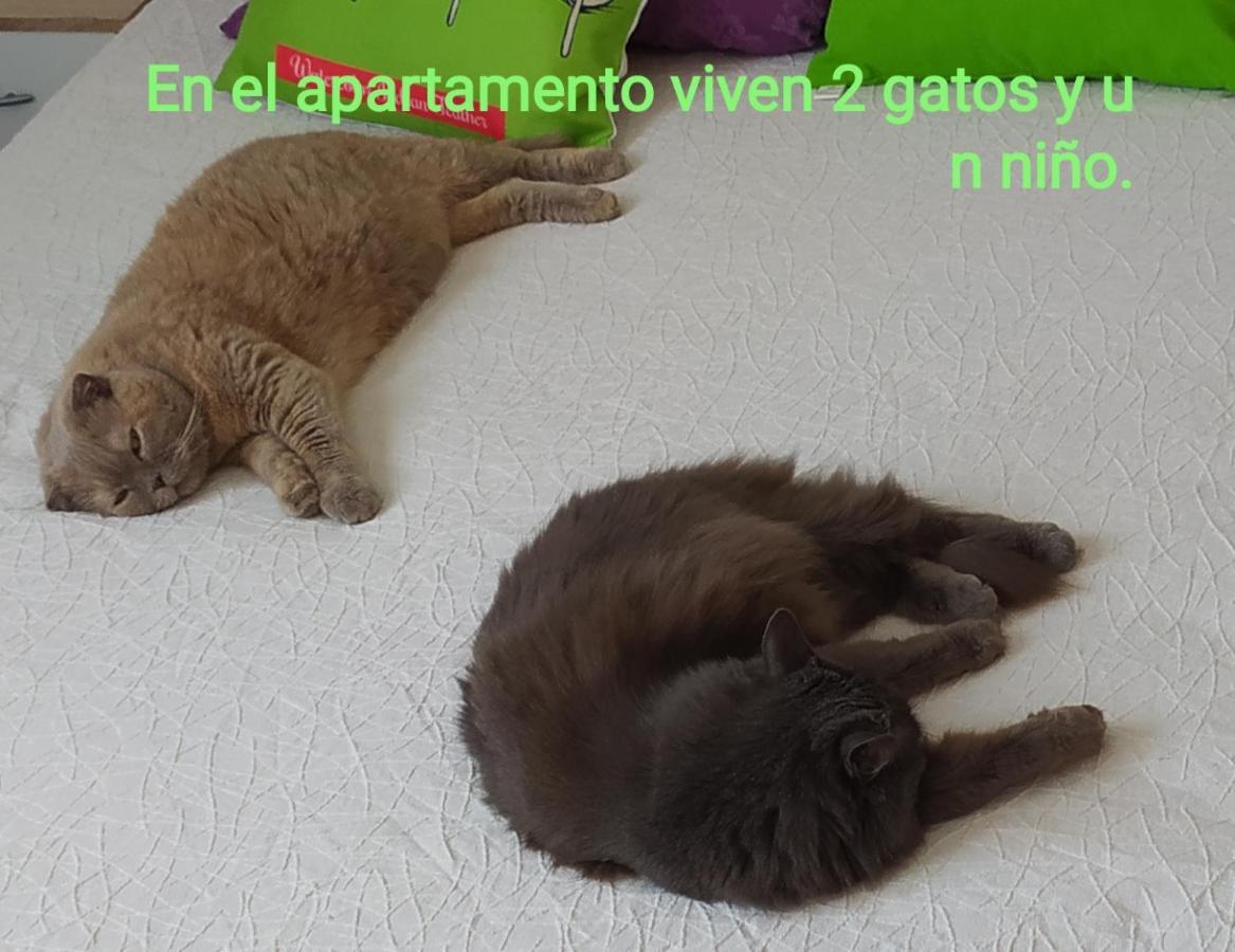 Monte Santa Barbara Justo En Frente De Usted En Un Dormitorio Privado Y Acogedor Apartment San Vicente Raspeig Ngoại thất bức ảnh
